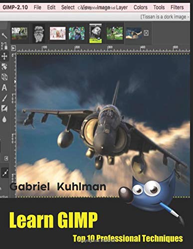 Learn GIMP: Top 10 Professional Techniques: Kuhlman, Gabriel ...