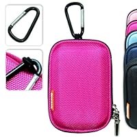 Plum Color Freehand Technique 7807387025 Book Cover