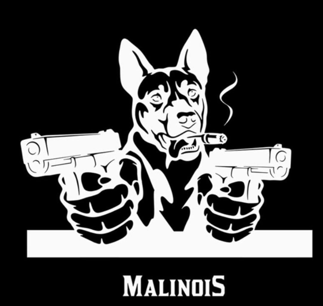 Autoaufkleber 25cm Weißer Belgische Malinois Aufkleber White Belgian Malinois Lustige Aufkleber Wasserfester Haustier Hund Auto Aufkleber Abziehen und aufkleben Stoßstange Heckscheibe Dekor