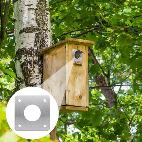 12 Stück Vogelhaus Metall Schutzplatte Edelstahl 32mm für Nistkasten für Vögel für Draußen, Bausatz für Nistkasten Baby Nest Protect Nistkästen Vogelhäuschen Vogelnest (Silver, 32mm-Quadrat)