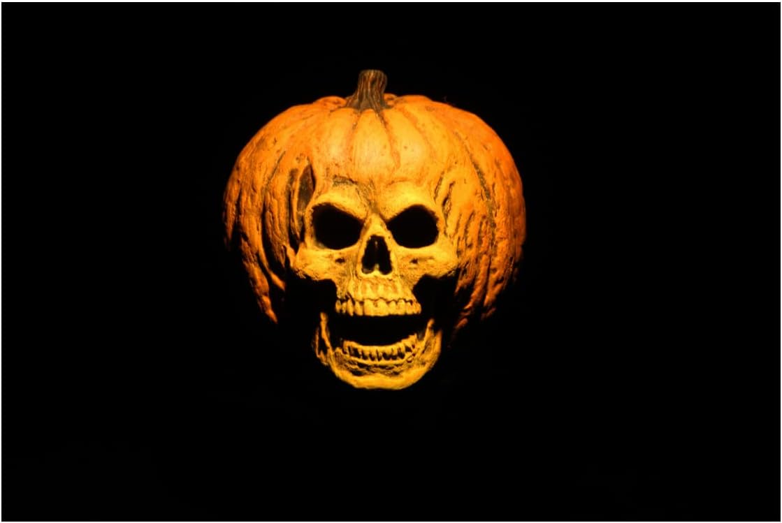 NECA Halloween 2 - Dr. Loomis and Laurie Strode (1981) 8? Clothed Action Figure 2 Pack