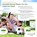 Sport und Spielrasen Greenato Sport Rasensamen 25 kg – Turbo Rasensamen schnellkeimend ideal für Rasenerde Grassamen für Neuansaat und Nachsaat extra robust Unkrautvernichter Rasen - für 1000 m²
