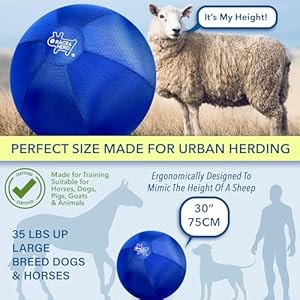 Raceherd Herding Ball for Dogs Large  Medium 30 Pro Set Dog Ball Horse Ball | Large Dog Toys Hearding Ball Horse Toys Herding Balls for Cattle Dogs Herding Ball for Australian Shepherd  Cucciolini Doodles Raceherd herding ball for dogs large  medium 30 pro set dog ball horse ball | large dog toys hearding ball horse toys herding balls for cattle dogs herding ball for australian shepherd   cucciolini doodles