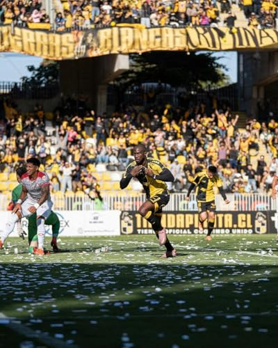 Os 'Piratas' encontram ouro no Chile!