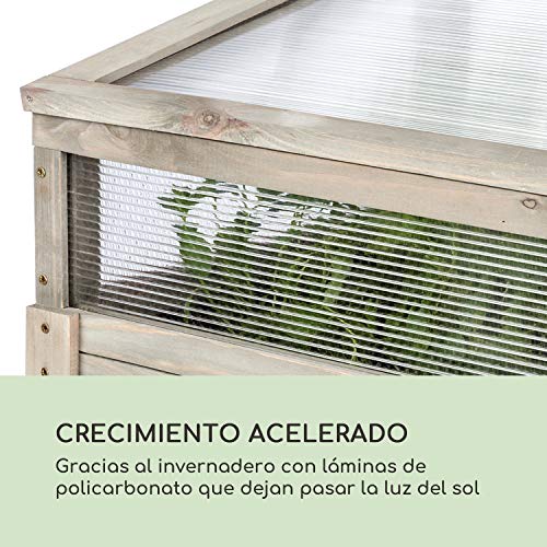 blumfeldt Altiplano Terrado - Macetero Elevado, 120 x 121 x 54 cm ...