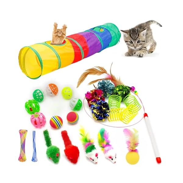 iCAGY Interaktives Katzenspielzeug für Indoor-Katzen, 25 verschiedene Katzenspielzeuge, inklusive Knistertunnel, Ball, Zauberstab, Federmaus, Mäuse, Federsortiment, Set für Katzen, Kätzchen,