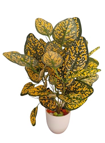 Image of Natural Looking Artificial Money Plant /Tree with Pot | Ornamental Plant for Interior Decor | Home /Shop /Office Decor (Yellow-New)