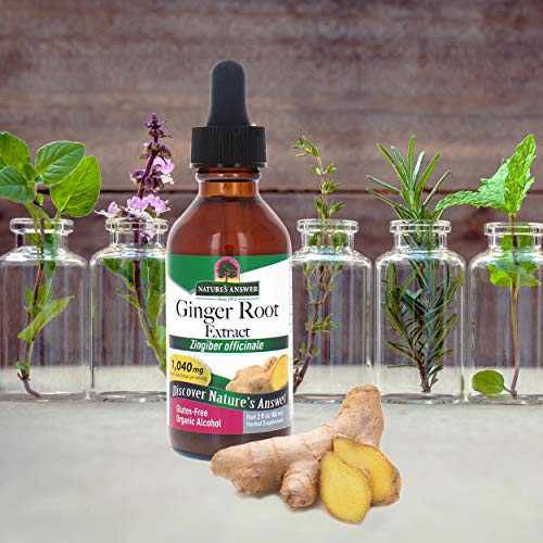 Nature's Answer Ginger Root Extract Supplement With Organic Alcohol, 2-Fluid Ounces | Supports Digestion #TOP2