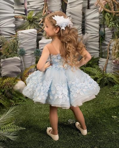 Flower Girl Dress Short Tulle Pageant Dresses for Girls 3D Flower Lace Appliques First Communion Dress for Girls Party Ball Gown Champagne Flower Girl Dress, 73