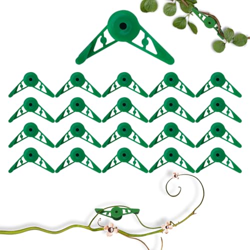 YUSHWENPTY Pflanzenbieger 20 Stück lst Clips Pflanzenklammern Low Stress Training Verstellbar 360 Grad Pflanzen Training Clips Pflanzenstützclips Grün für Pflanzen Zubehör, Pflanzenwachstum (C)