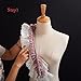 BLESSUME 1pc Lace Renaissance Neck Ruffle Collar (15.5