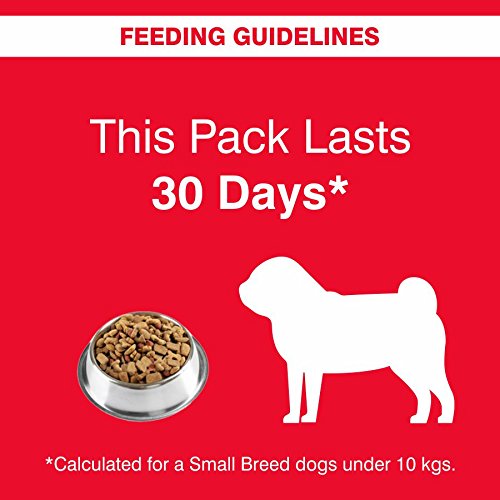 drools vegetarian dog food