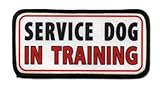SERVICE DOG In Training Medical Alert 2.5 x 5 inch Sew-on Black Rim Patch
