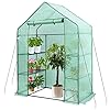 Greenhouse, Hanience Walk-in Greenhouse with Anchors and Ropes, 3 Tier 4 Wired Shelves Indoor and Outdoor Greenhouse for Garden/Patio/Backyard/Balcony, Green PE Cover Easy to Assemble