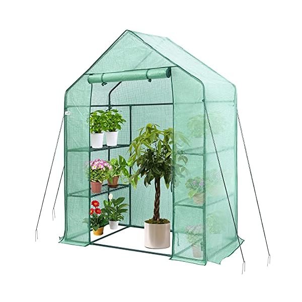 Greenhouse, Hanience Walk-in Greenhouse with Anchors and Ropes, 3 Tier 4 Wired Shelves Indoor and Outdoor Greenhouse for Garden/Patio/Backyard/Balcony, Green PE Cover Easy to Assemble