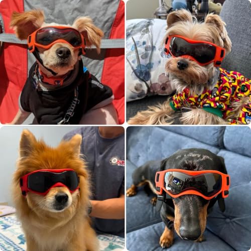 Image of Dog Goggles, Small Breed Dog Sunglasses, UV Protection, Wind & Dust Rain Snow Protection, Orange, Small
