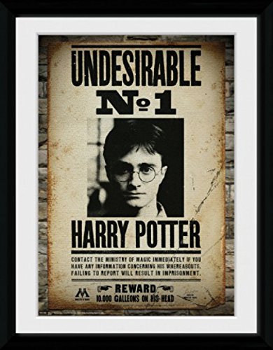 Pronto da appendere HARRY POTTER Poster Indesiderato N. 1, Daniel Radcliffe Quadro In Cornice per Fan e Collezionisti  Immagini A Parete  In Una Cornice 40x30 cm