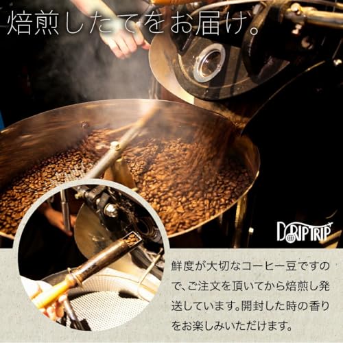DRIP TRIP コロンビア KYOTO農園 ドリップコーヒー 8袋