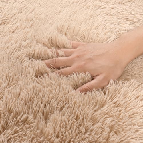 Camel Rugs for Bedroom, Soft Shaggy Modern Shag 4x6 Area Rug for Living Room, Upgrade Non-Slip Plush Fluffy Carpet for Kids Boys Girls Room Home Decor Aesthetic