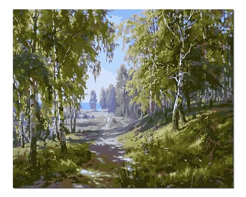 Peinture par numéros pour adultes motif chemin dans les arbres 40x50cm avec cadre bois
