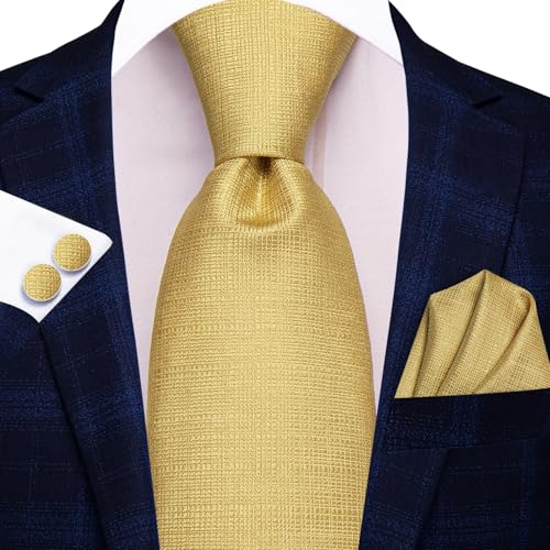 Image of Hi-Tie Men 63inches Tie Set Extra Long Necktie Paisley Tie Pocket Suqare Cufflinks Big and Tall Men Tie