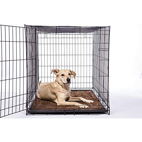 Dog Gone Smart Dirty Dog Microfiber Paw Doormat - Muddy Mats For Dogs - Super Absorbent Dog Mat Keeps Paws & Floors Clean - Machine Washable Pet Door Rugs With Non-Slip Backing | Runner Pacific Blue #TOP4