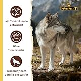 WOLFSBLUT – VetLine Urinary | Diät Trockenfutter für ausgewachsene Hunde zur Unterstützung der Harnwege. Getreidefreies Alleinfutter im Beutel | 2kg Huhn mit Süßkartoffeln