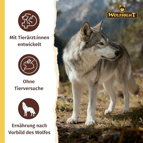 WOLFSBLUT – VetLine Urinary | Diät Trockenfutter für ausgewachsene Hunde zur Unterstützung der Harnwege. Getreidefreies Alleinfutter im Beutel | 2kg Huhn mit Süßkartoffeln