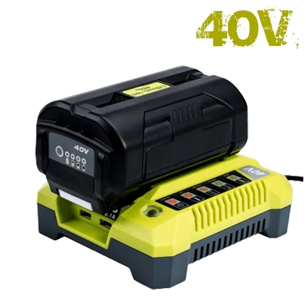 Batteria agli ioni di litio ad alta capacità da 40 V 10 Ah, compatibile con Ryobi,(1pcs Charger)