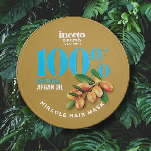 INECTO Argan Dream Creme Shine & Define Hair Serum 100ml, Nourishing Fatty Acids, Repairs & Revitalises Hair, Preserves Moisture Making Hair Silky & Easier to Style - Image 4
