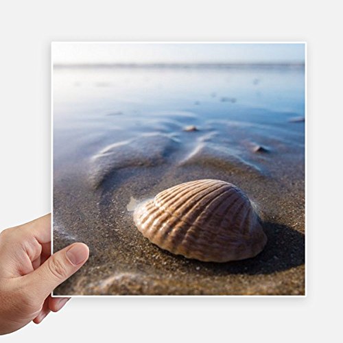 Sticker ocean water science shell pour protéger et décorer vos objets
