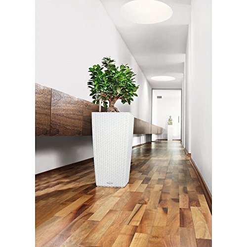 LECHUZA Cubico cottage con set di irrigazione bianco cm. 40