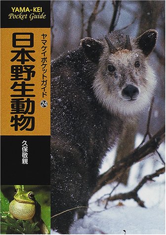 日本野生動物 ヤマケイポケットガイド 24 ヤマケイポケットガイド 24 久保 敬親 本 通販 Amazon