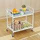 HDANI Druckertisch2 Ebenen,Küchenregal,Mikrowellen Regal,Druckerständer mit verstellbaren Füßen und arretierbaren Rädern,Druckerwagen,Industrie-Design,60×35×61cm,für Büro Wohnzimmer Küche,Weiß