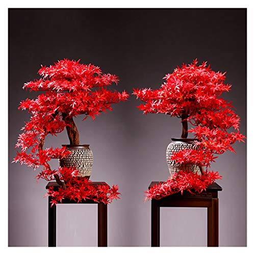 Plantas artificiales Gran salón simulación acogedora pino bonsái porche planta en maceta interior plantas de escritorio verde ornamentos flor regalos regalos Plantas y flores artificiales