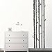 Produktbild HomeTattoo ® WANDTATTOO Wandaufkleber Banner Baumstämme Wald Birke Wohnzimmer Motiv 737 XL ( L x B ) ca. 200 x 58 cm (braun 800)
