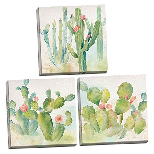 Roaring Brook Lovely Watercolor-Style Desert Cactus Print Set by Cynthia Coulter; Three 12x12in Hand-Stretched Canvases