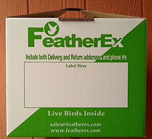 Three Pack of 12 x 12 FeatherEx Boxes : Live Bird Shipping Boxes