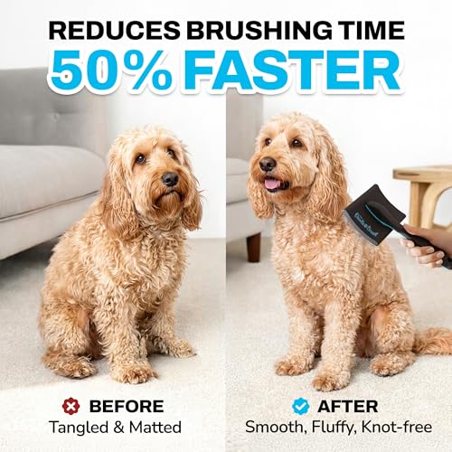 The Doodle Brush Zupfbürste für Langhaarige Hunde mit Extra Langen Pins