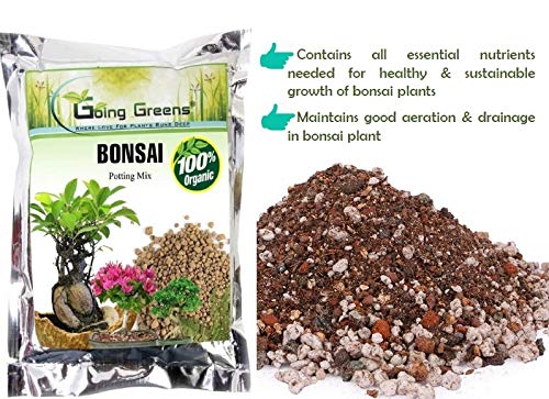 Image of 100% Organic Bonsai Potting Soil Mix - 2400 GMS (800 GMS x 3 nos)