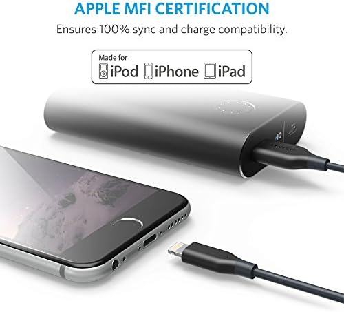 Anker Powerline Lightning (10ft) Apple MFi Certified Lightning Cable/Charger Cord, for iPhone X / 8/8 Plus / 7/7 Plus / 6 / 6s Plus / 5 / 5s, iPad Mini 4/3 / 2, iPad Pro Air 2(Gray)