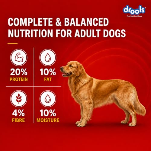 Image of Drools Adult Dry Dog Food 2.8kg + 1kg | Lamb and Rice Flavour | Supports Skin Nourishment and Coat Radiance | Promotes Healthy Digestion | Natural Antioxidants | Strengthen Immunity