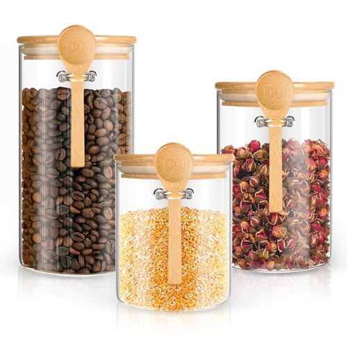 Glass Storage Containers 25oz/ 33oz/ 44oz with Bamboo Lids and Spoons, Glass Food Storage Jar with Lids, Kitchen Canisters Pantry Organizers for Cookie Tea Coffee Bean Overnight Oats (Set of 3)