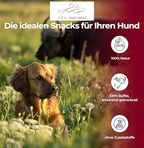 123...Hund dabei! - Büffel-Lunge 3kg, Rinderlunge XXL-Pack, fettarm, getrocknetes Rindfleisch, schonend getrocknet, Kauartikel vom Rind (Rinderlunge)