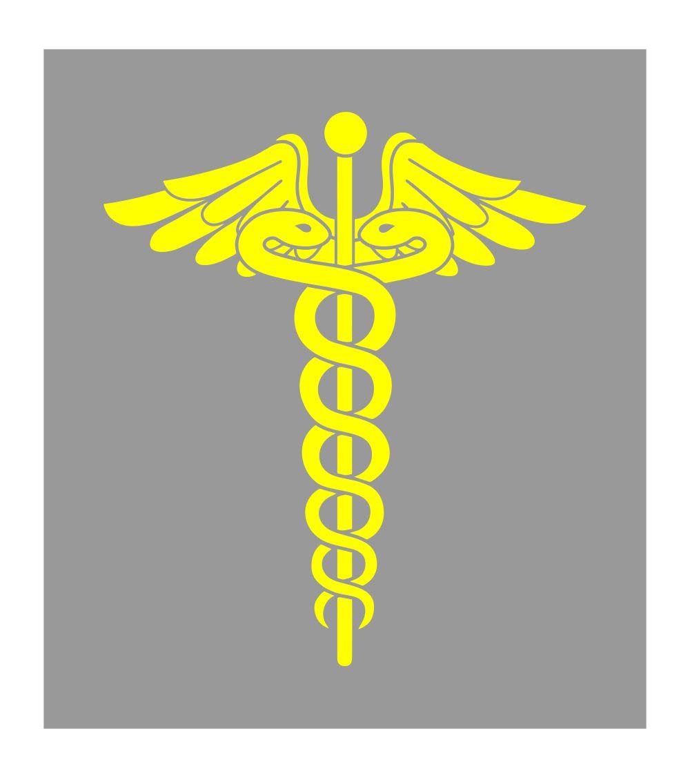 decalbazaar Vinyl Doctor Logo Glossy Wall Window Sticker, 22 x 19.5 Inches Yellow (B0B1TXLRCK) Amazon Price History, Amazon Price Tracker
