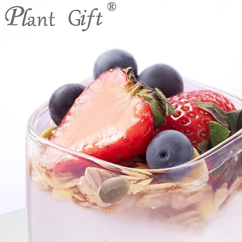 Miniatura 5 de Plant Gift Polvo de Konjak 100% puro, harina de Konjak natural, gran sabor para bebidas, añade sabor y sabor en polvo sin OMG, sin relleno, sin