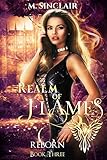 Realm Of Flames (Reborn Book 3) (English Edition)