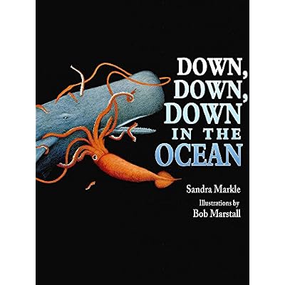 Down, Down, Down in the Ocean