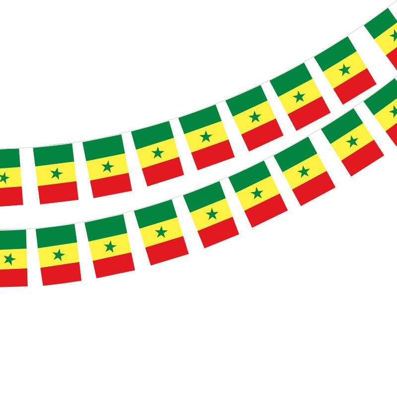 Pandiui23 Drapeau Sénégal 40 pièces Drapeau Sénégal Guirlande Sénégal 11.4M Fanions Sénégal, drapeau national 14x21cm pour décorations de bar