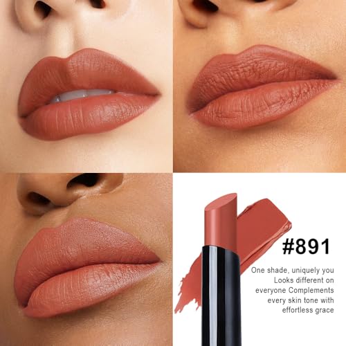Image of evpct Brown Velvet Matte Lipstick, High Pigmented Slim Lipstick Longlasting Waterproof for Women, Velvet Silky Blendable Matte Lip Stick Stain Color Makeup, 24 Hours Original Makeup Labiales, 891#
